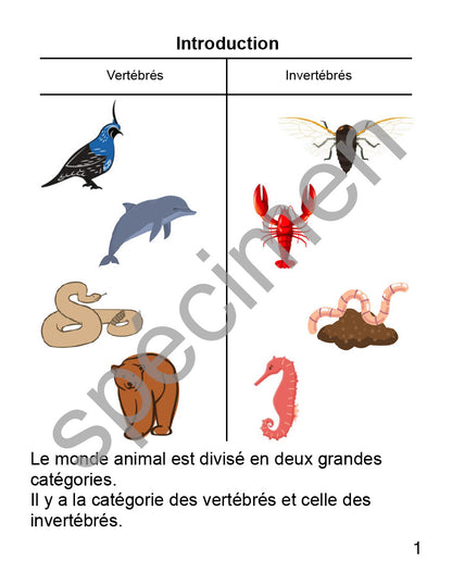 Ensemble Cour 1 étoile Les animaux vertébrés
