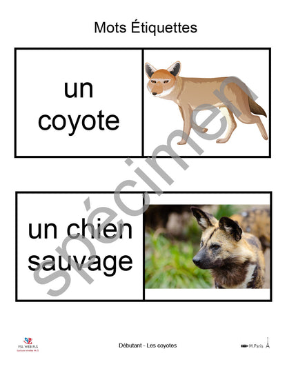 Ensemble Deb 2 étoiles Les coyotes 