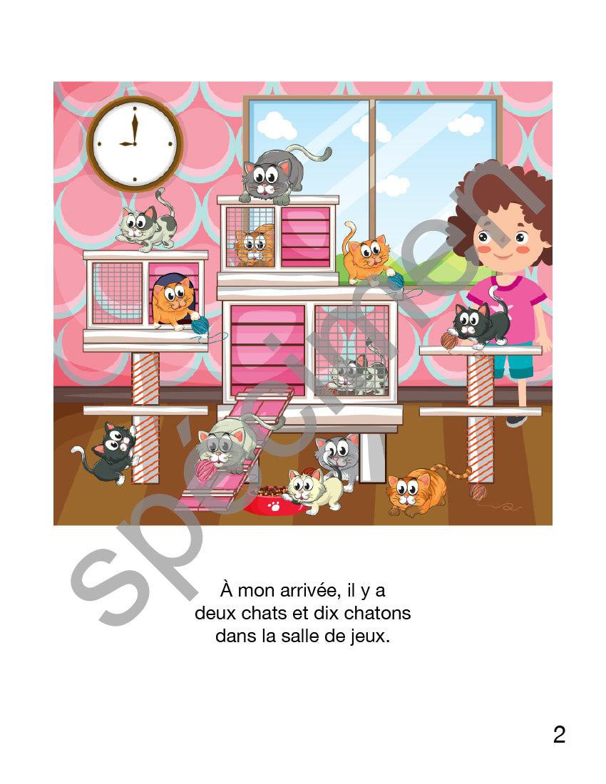 Ensemble 3 étoiles Chats et chatons