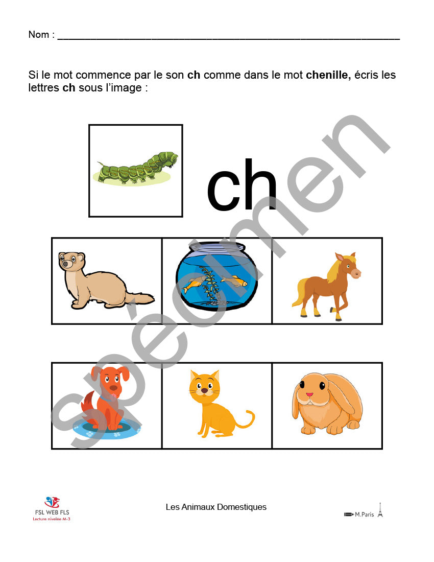 Ensemble Emer Les animaux domestiques